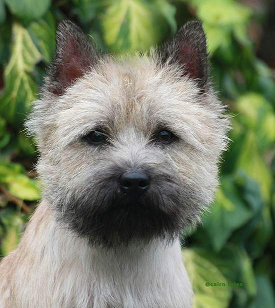 OL`Kyarnrowen`s Me Myself And I/Icke 