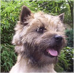 OL`Kyarnrowen`s Save The Last Dance