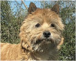 Percy vom Haltersitz