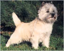 Sensei`s Forrygende Freaser