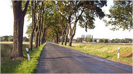 zu den Cairn Terrier Züchter