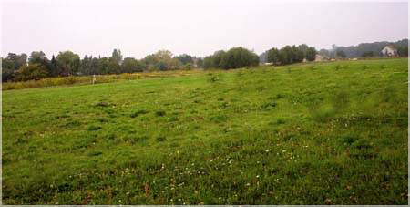 zu den Cairn Terrier Züchter