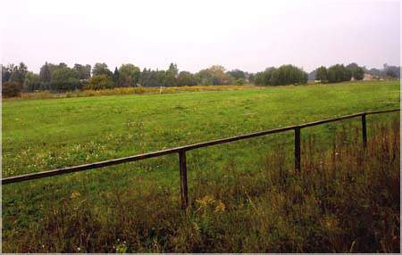 zu den Cairn Terrier Züchter